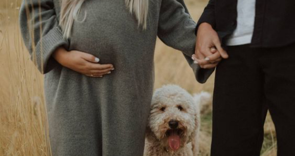 Grossesse et animaux : les risques