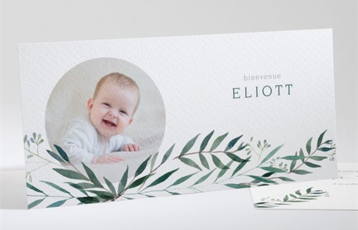 Taille images article TDM (1)