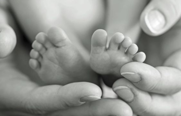 Taille images article TDM (4)