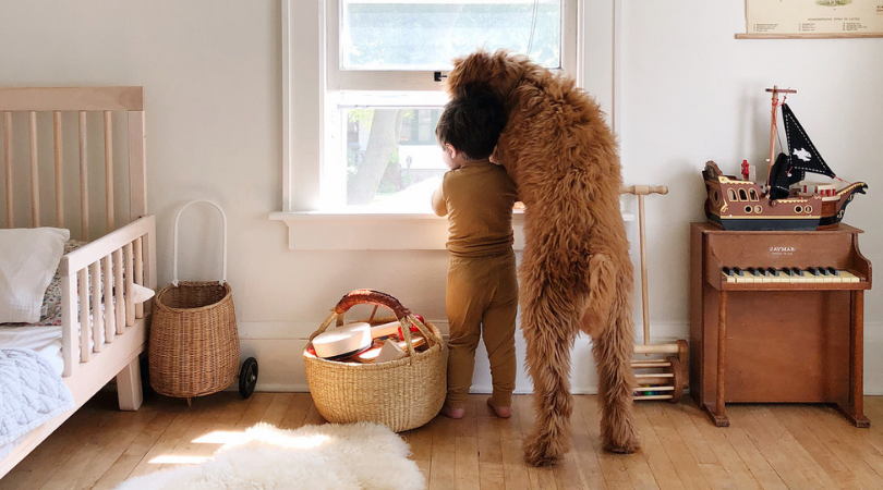 Avoir Un Bebe Et Un Chien A La Maison C Est Possible Terre De Mamans Avoir Un Bebe Et Un Chien A La Maison C Est Possible Terre De Mamans