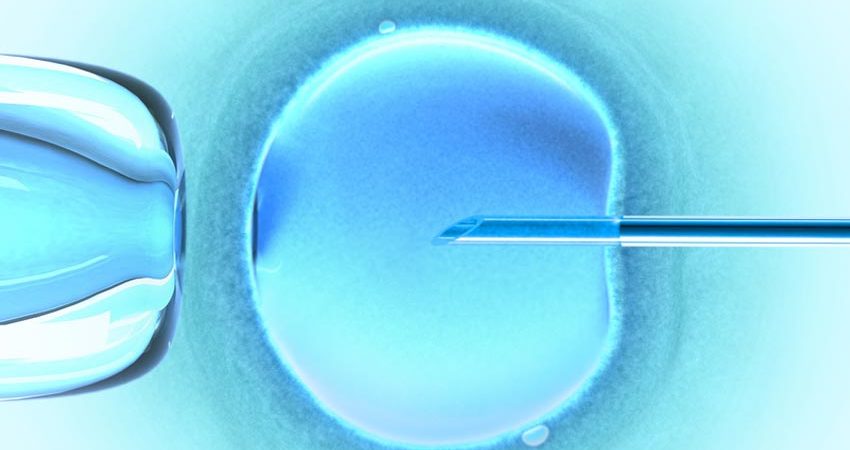 Fécondation in vitro